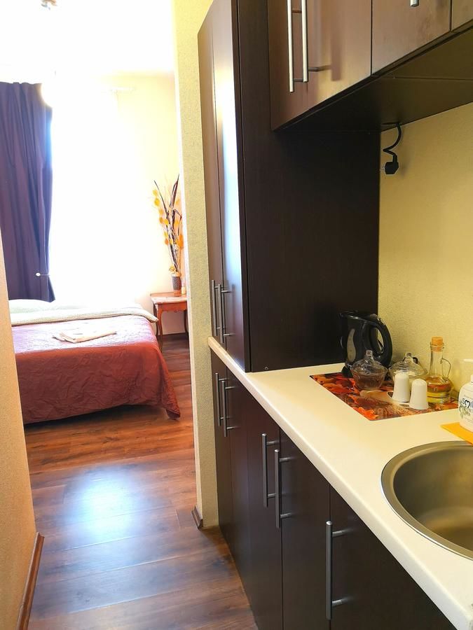 Апартаменты Orange studio Клайпеда-30