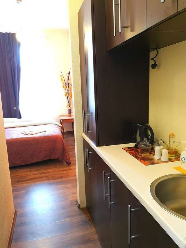 Апартаменты Orange studio Клайпеда-29